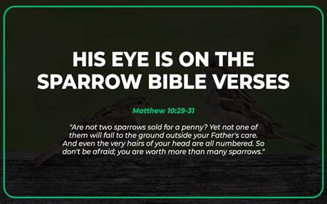 21 His Eye Is On The Sparrow Bible Verses With Commentary Scripture