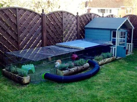 Rabbit Sheds The Ultimate Outdoor Bunny Hutch With Pictures