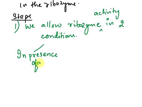 Solved Describe An Experiment To Demonstrate Whether The Rna Folds