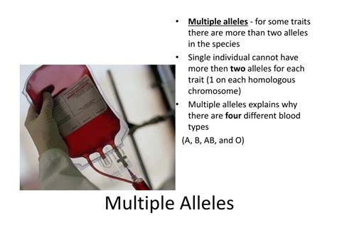 Ppt Multiple Alleles Powerpoint Presentation Free Download Id1930737