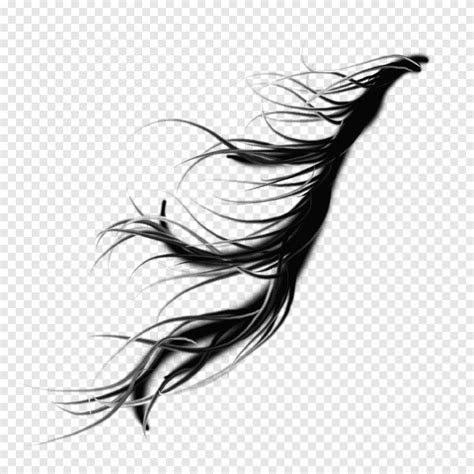 Windy Rainy Hair Womans Hair Illustration Png Pngegg