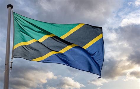 The Flag Of Tanzania: 13 Fascinating Facts - Tourism Teacher