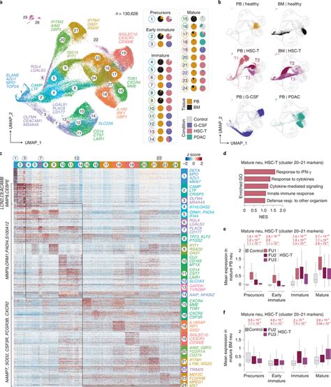 Single Cell Rna Seq Analysis Of Human Neutrophils At Steady State And