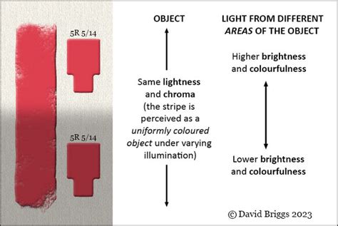 Relative Brightness Illusion