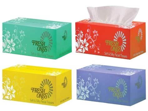 Fresh Ones Facial Tissues 2 Ply 100 Pull Urbangroc