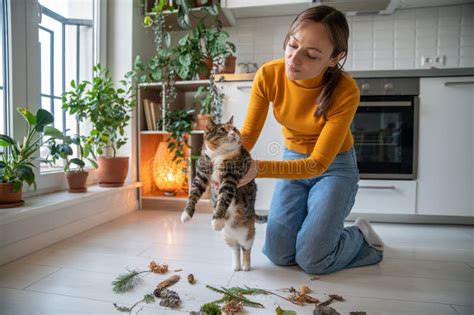 Pet Owner Holding Idle Lazy Cat Trying To Stimulate Interest Activity