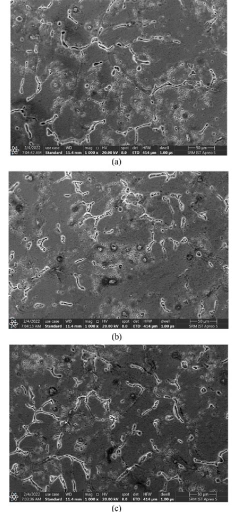 Scanning Electron Microscope Image Of Specimens A B B C And C D