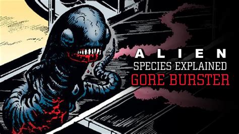 The Gore Burster Xenomorph (XX121AB) - Alien Species Explained (Alien ...