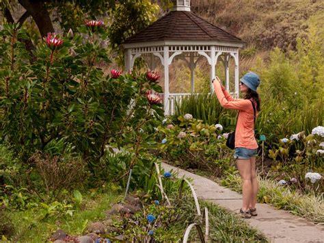 Visiting The Breathtaking Kula Botanical Garden In Hawaii