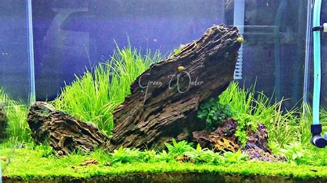 Aquascape Step By Step IWAGUMI YouTube