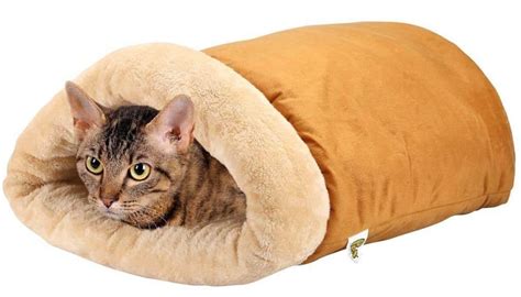 The 5 Best Heated Cat Beds In 2023 PawGearLab