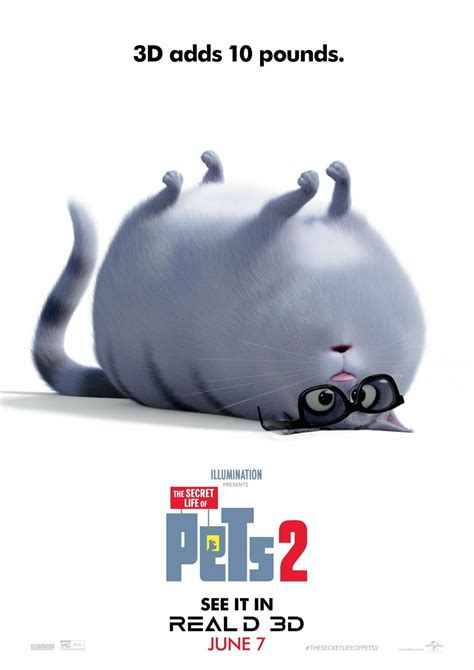 The Secret Life Of Pets 2 Dvd Release Date Redbox Netflix Itunes