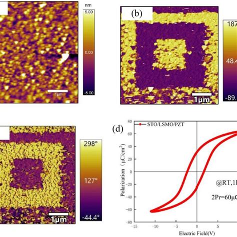 A Afm Image Of The Pzt Thin Film B Pfm Image Of The Sto Lsmo Pzt Film