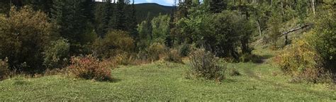 Prairie Creek Trail 63 Reviews Map Alberta Canada Alltrails