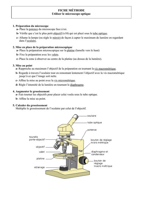 Fiche M Thode Utiliser Le Microscope Optique