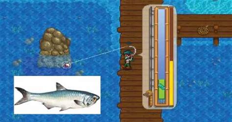 How to Catch Stardew Valley Anchovy Fish, Location, Difficulty, Steps