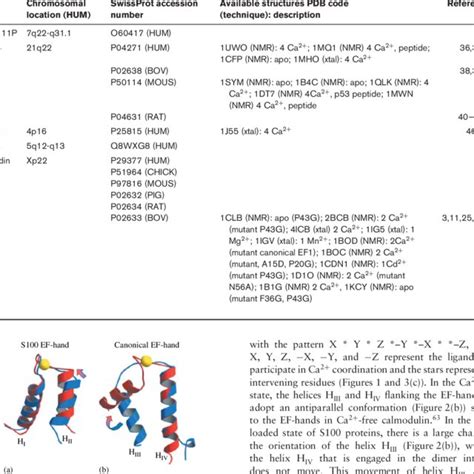 Biological Functions Of S100 Proteins Download Table