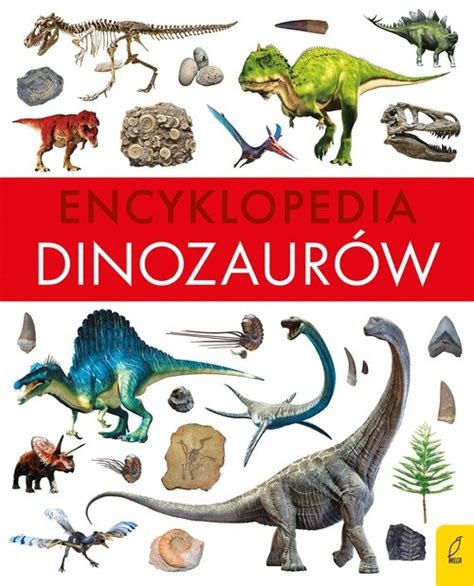 Przedmioty użytkownika dobra ksiazka Encyklopedie słowniki i atlasy