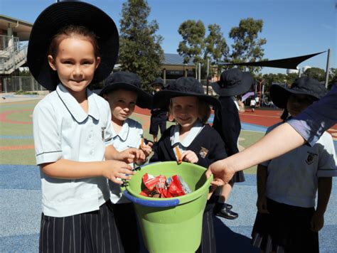 Kindy Know Waste Incursion William Clarke College