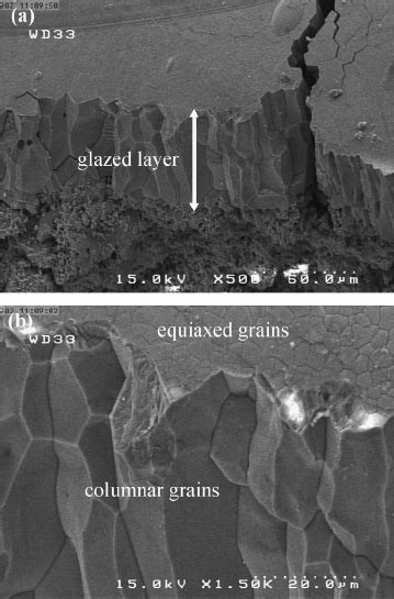 Fesem Micrographs Of Fracture Cross Section Of The Laser Glazed Coating Download Scientific