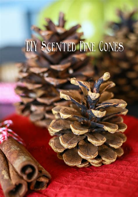 DIY Scented Pine Cones Yummi Haus