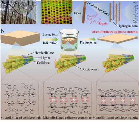 Illustration Of The Synthesis Of Microfibrillated Cellulose Material