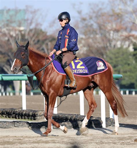 【菊花賞】新潟記念の覇者ノッキングポイントど真ん中5枠9番 3戦連続奇数番も発馬に不安なし｜極ウマ・プレミアム