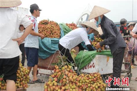 越南荔枝在中国云南热销 河口口岸成主要集散地 中国 东盟中心