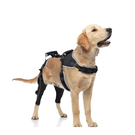 LISPOO Dog Knee Brace for Luxating Patella and Torn ACL Cruciate