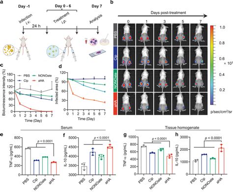 Aha Assemblies Eradicate Staphylococci In A Murine Subcutaneous