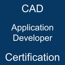 Cad Rise Shine As Servicenow Certified Application Developer