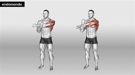 8 Tricep Stretches For Tight Muscles Relief And Safety Tips 2024