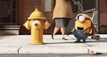 Papoy Minion GIFs | Tenor