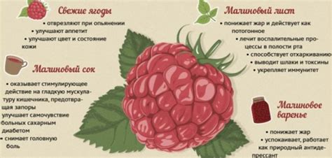 Малина повышает или понижает давление при гипертонии?