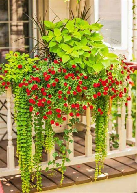 Glory Thin Railing Planter Colourful Hanging Plants