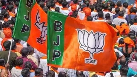 Tamil Nadu Bjp Workers Clash With Cops After Newly Erected Party Flag