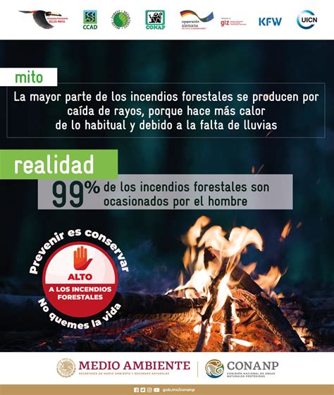 CONANP on Twitter SabíasQue 99 de los IncendiosForestales son