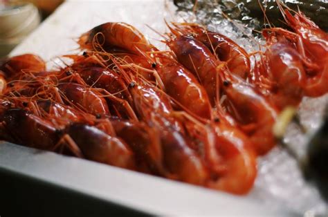 El Mejor Plato De Espa A La Gamba Roja De Denia Gu A Hedonista