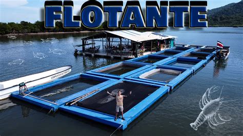 As Es Un Restaurante Flotante Y Una Isla Habitada En Costa Rica