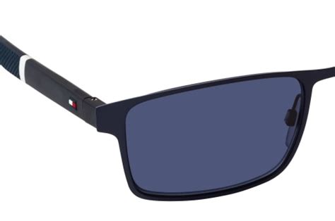 Buy Tommy Hilfiger Th S Fll Sunglasses