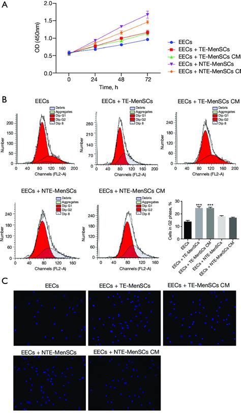 Proliferation Cell Cycle And Apoptosis Analysis Of Eecs Co Cultured