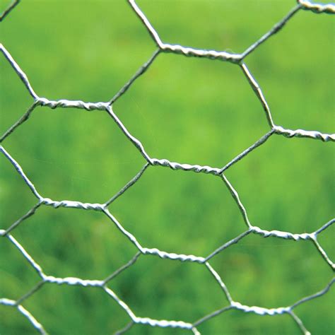 Hexagonal Wire Mesh