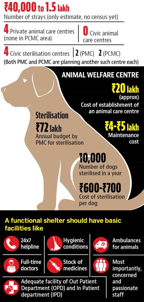 No Shelter No Food And Zero Funds This Is The State Of Most Of Punes