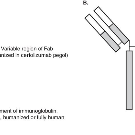 (PDF) Certolizumab pegol for the treatment of rheumatoid arthritis