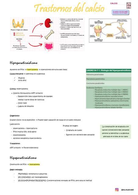 Trastornos Del Calcio Ms Study Med UDocz