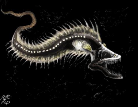 gulper eel by Raphael041 on DeviantArt