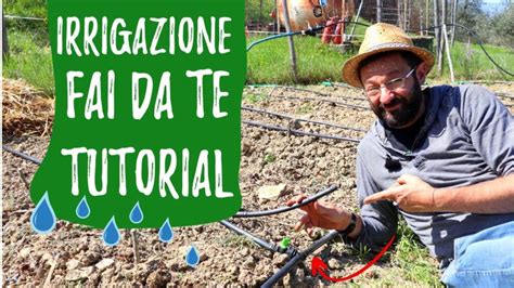 Come Creare Un Sistema Di Irrigazione Per Il Tuo Orto Guida Fai Da Te