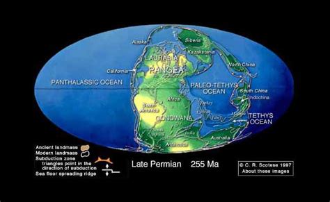 Refining Concepts Of Pangaea News Astrobiology