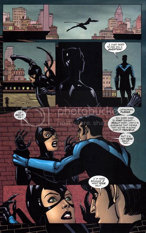 Catwoman Vs Nightwing Battles Comic Vine