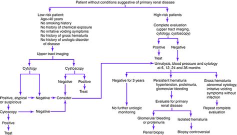 Microscopic Hematuria Clinical Gate